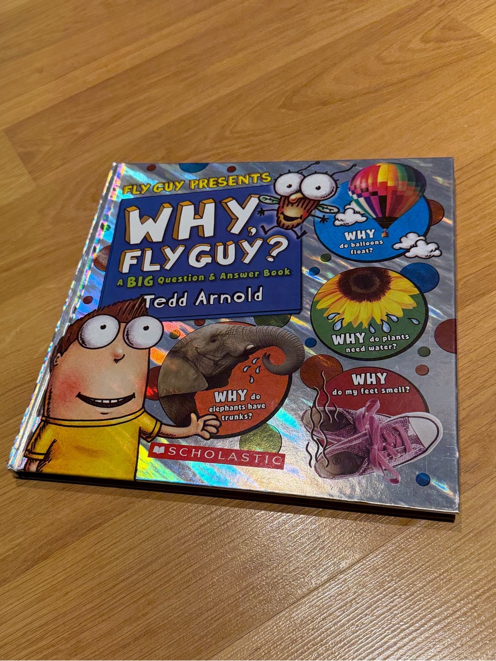 Why, Fly Guy? Book by Scholastic